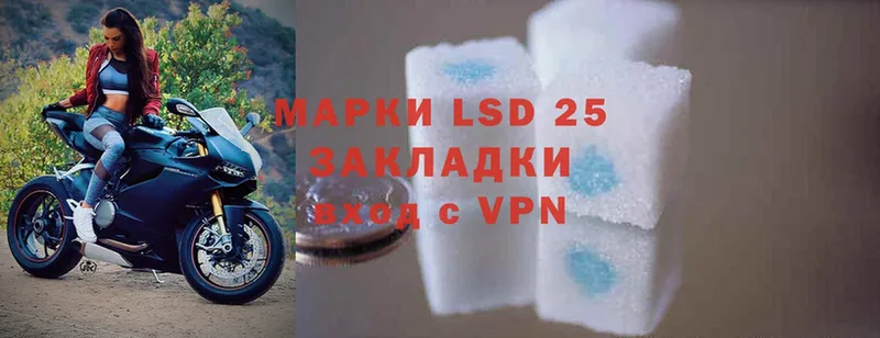 Лсд 25 экстази ecstasy  mega маркетплейс  маркетплейс как зайти  Светлоград 